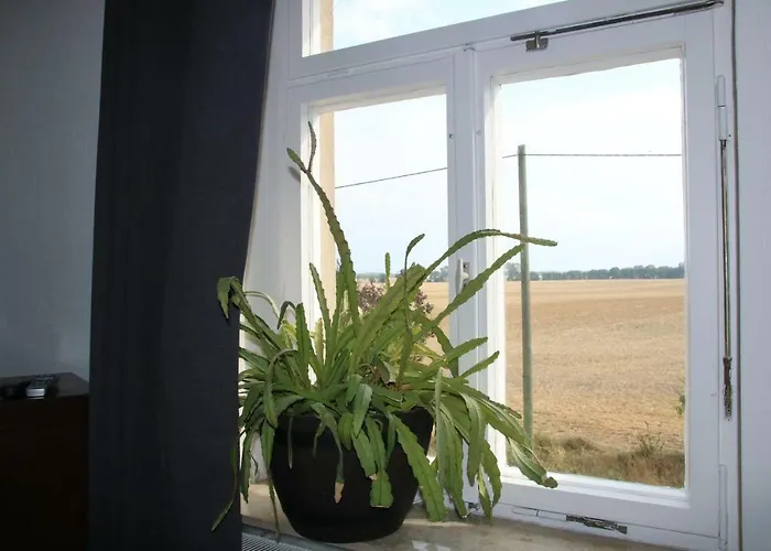 Zum Alten Koenig Apartment